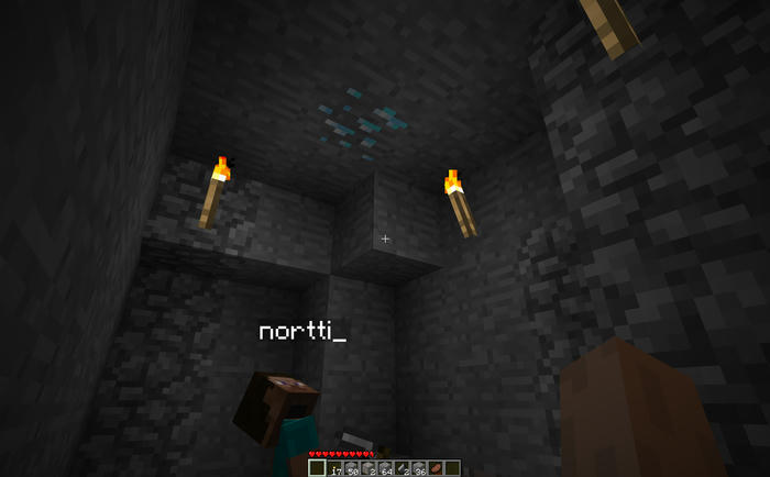 nortti in the Minecraft on syys
looking at a diamond deposit in the ceiling