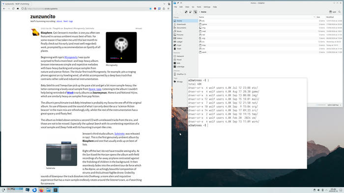 A picture of the KDE Plasma 6 desktop
environment, with a browser window, a terminal, and an instance of Dolphin, a
file manager.