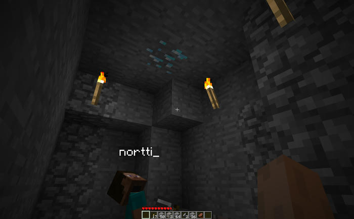 nortti in the Minecraft on syys
looking at a diamond deposit in the ceiling